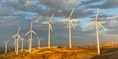 Low-carbon winners and losers