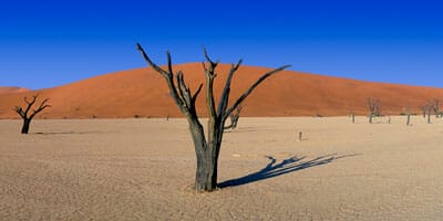 Post-retirement solutions<br> “thin on the ground”