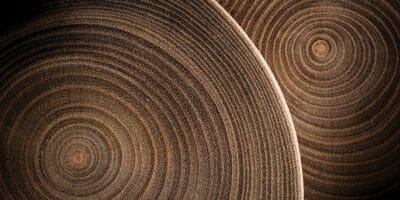 Tackling longevity risk in post-retirement