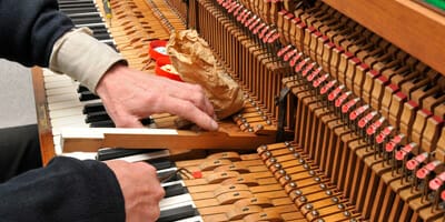 Academics to optimise super