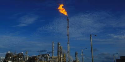 Investors must be free from political direction