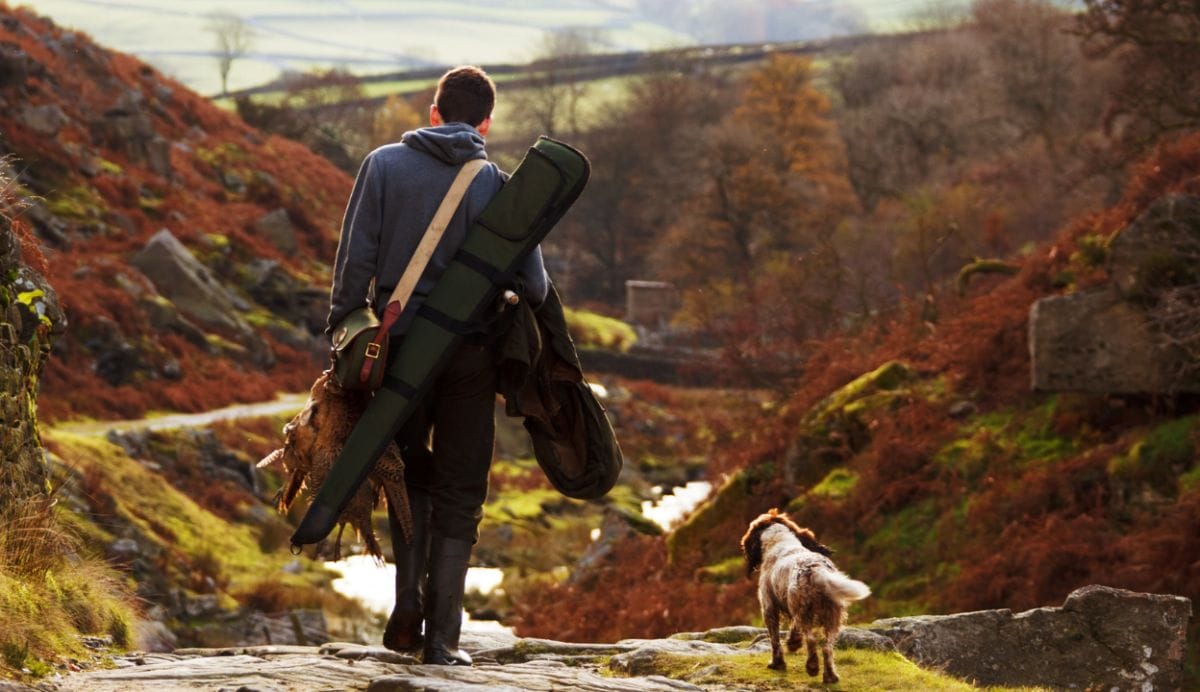 Global hunt for yield drives Aussie bonds