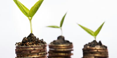 Quality factor explained by profitability: Robert Novy-Marx