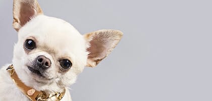 Domestic hedge funds on the rise