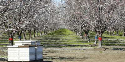 First State Super’s high protein investment