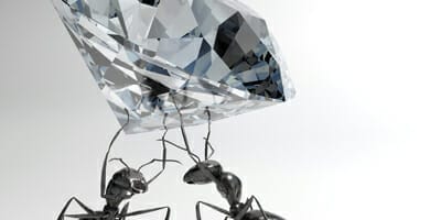 De-risking innovation in investment teams