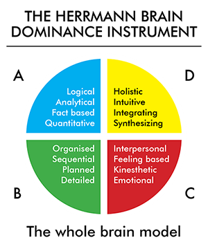 The Herrmann brain dominance instrument