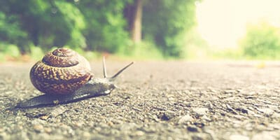 Gender tide still at snail’s pace