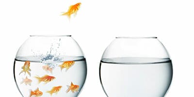 The time for financial advice disruption is nigh