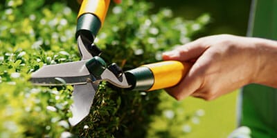 Longevity basis risk research underway