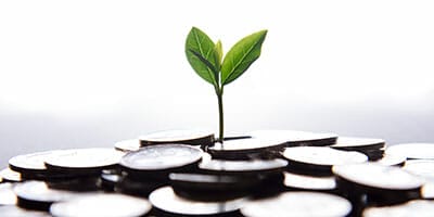 Innovating to benefit from comparative advantage