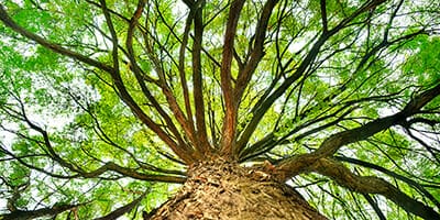 Australian market not warming to climate-risk strategies