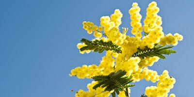 Local Government Super appoints new board director