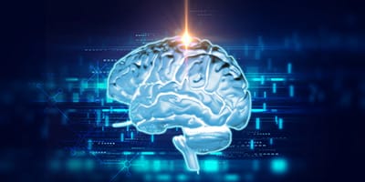 Active managers can cash in on human nature