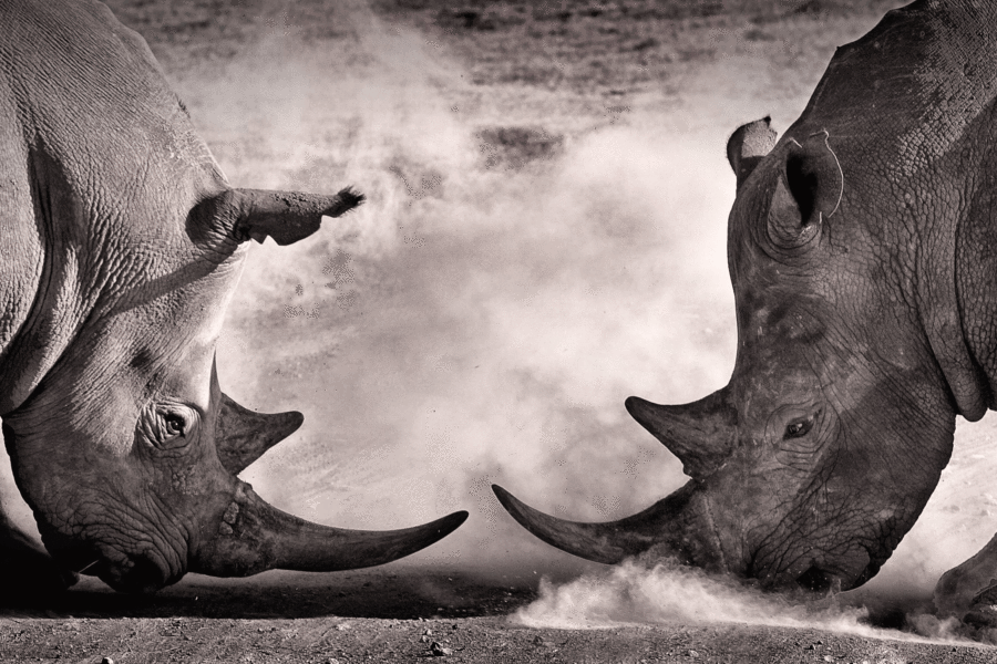 Standoff over RG 97 review