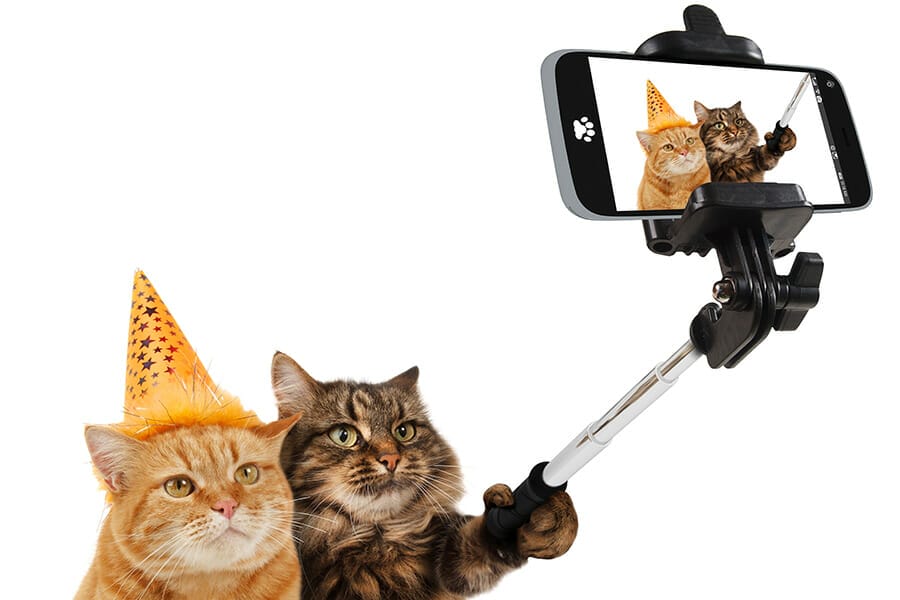 SeLFIES a good look for Australian retirement