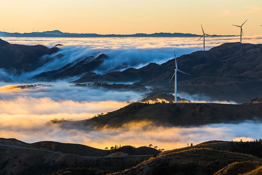 Tasplan confident of leaving behind ‘stranded’ assets