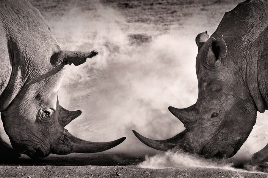 Fee disclosure drama’s conclusion in sight