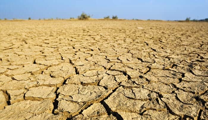 Investors ease up on climate change pressure, say company directors