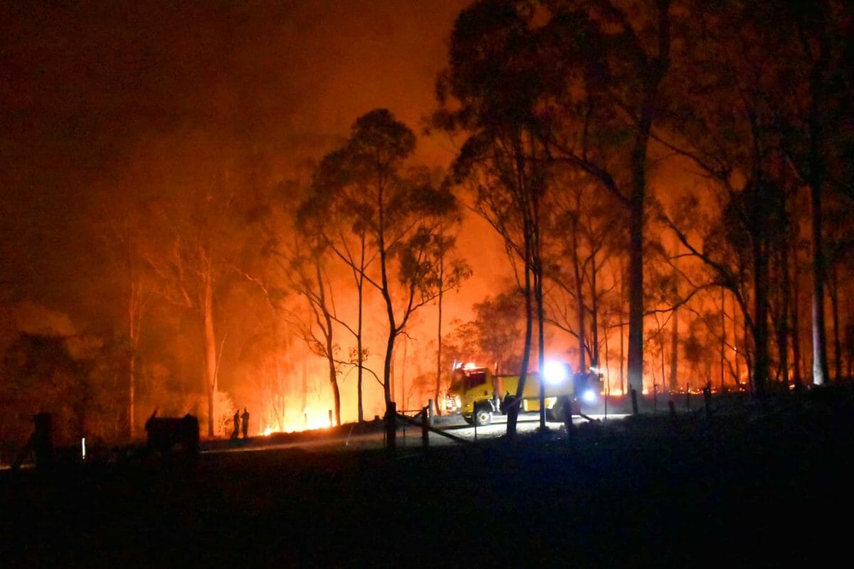 ESSSuper: 1000 members involved in bush fires