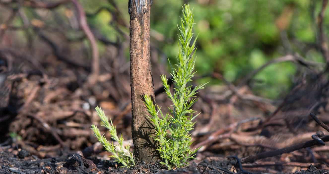 Disaster recovery: the right support at the right time