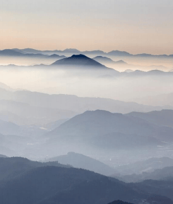 V, U, W, L: Which shape will the recovery take