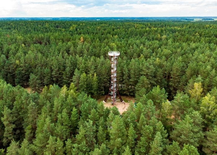 Bridgewater’s daily observations