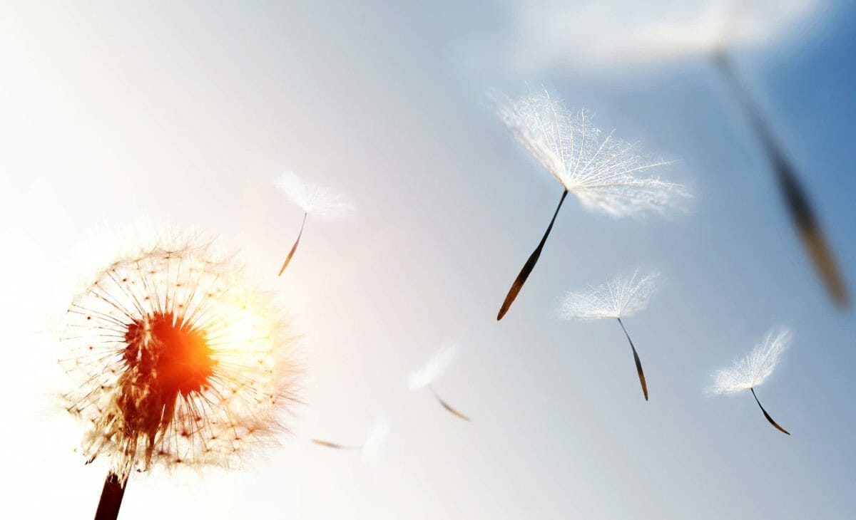 Fossil fuels: Survival of the adaptors