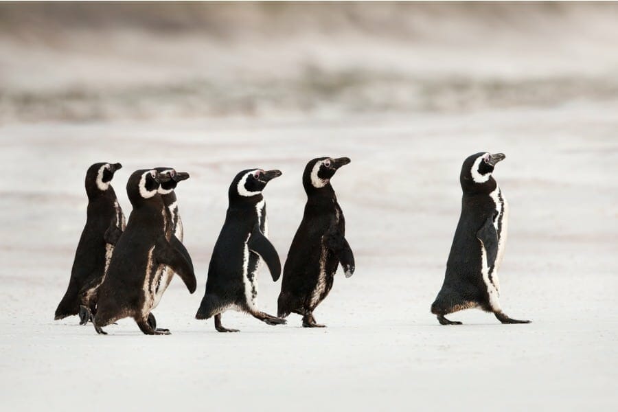 Redefining leadership: How to create confidence in our future