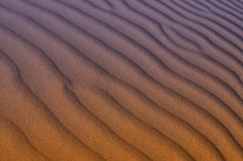 Sukholitsky: Economy and markets dislocated for good reason