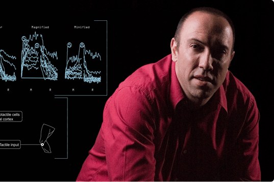 Income protection clients need coaching more than therapy for chronic pain