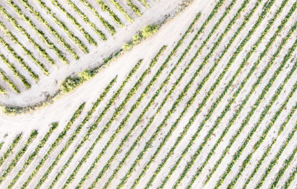 Collaborating for a low-carbon world