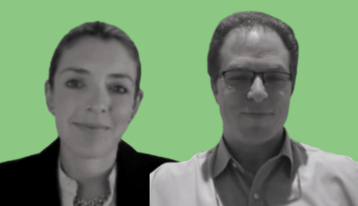 Emily Barlow, Paul Newfield: Consultant disruption: Self-reflections and projections