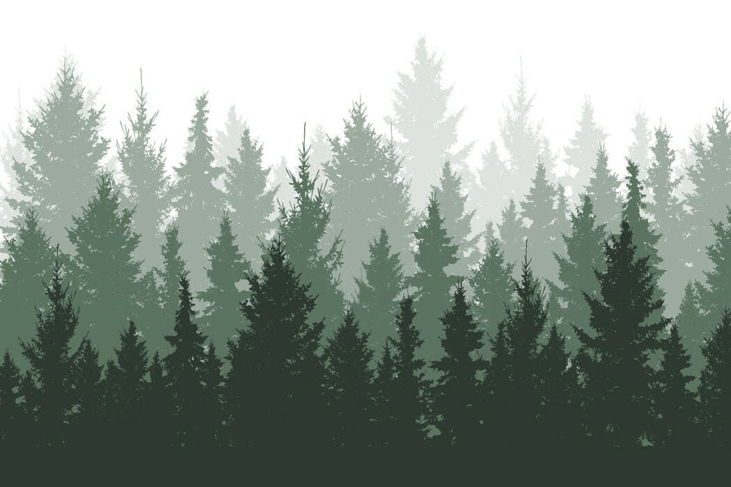 YFYS and distinguishing forest from trees