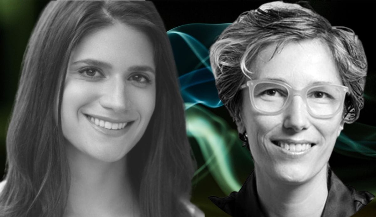 The curse of financial innovation, investment structures and systemic risk | Delilah Rothenberg and Raphaële Chappe