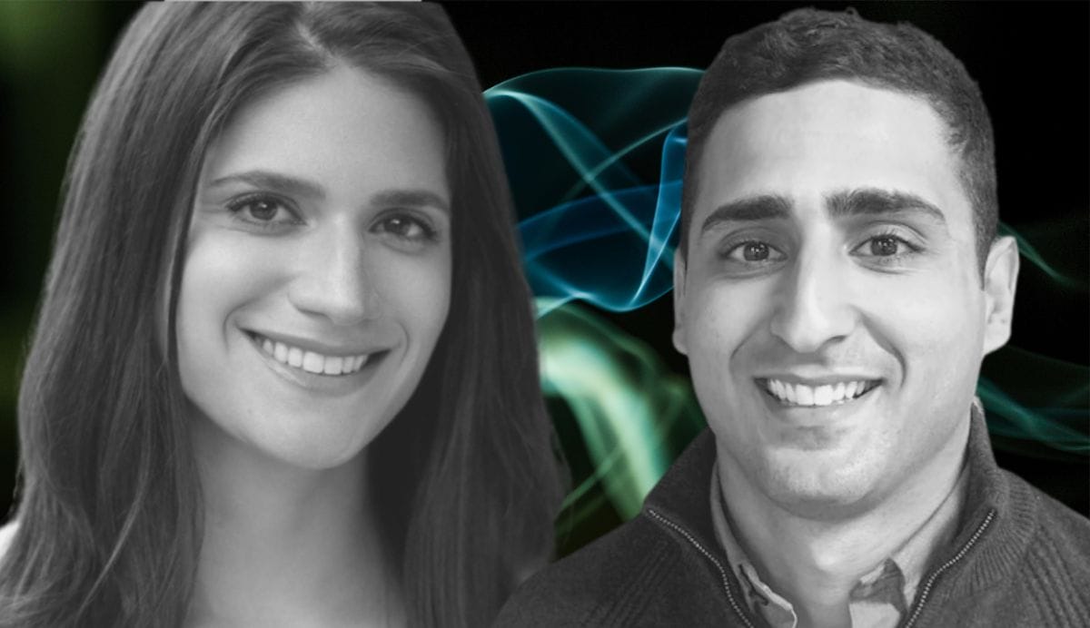 Managing investor risks beyond the enterprise level, portfolio barriers and regenerative investment structures | Delilah Rothenberg and Taylor Sekhon