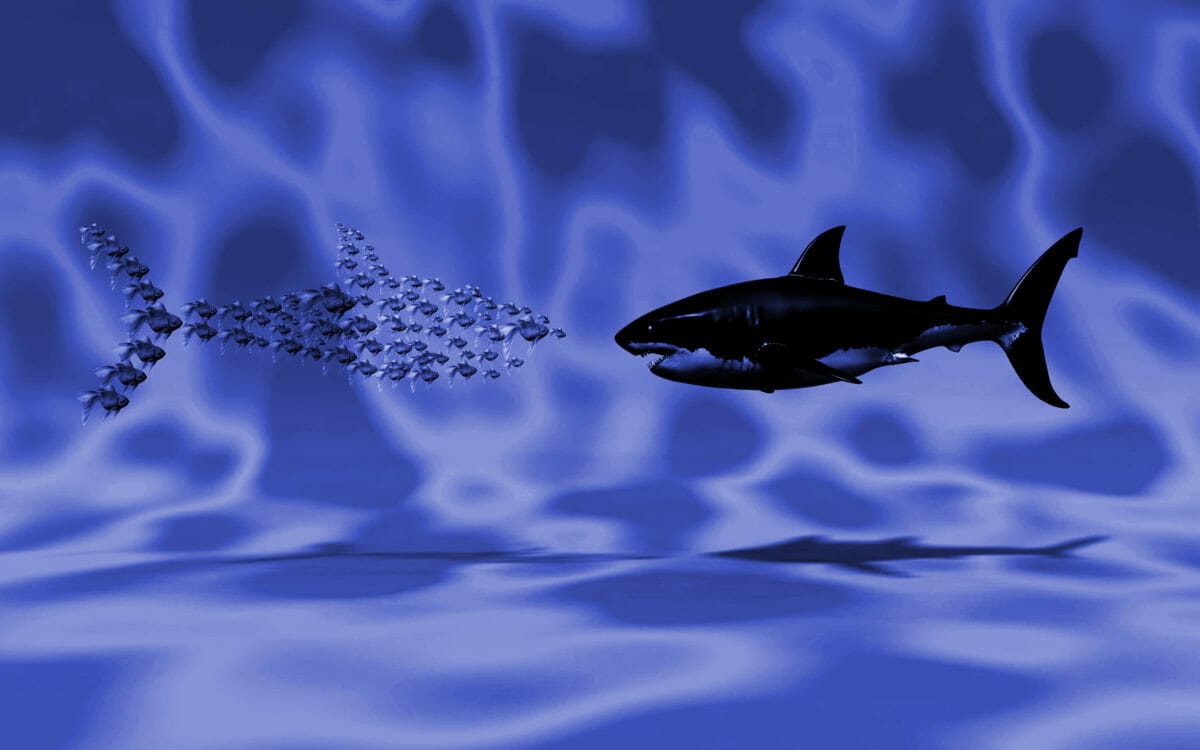 Smaller may outclass larger super funds on member engagement