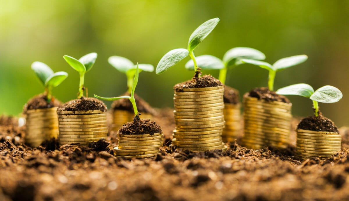 Faith-based super performance law too narrow say responsible investors