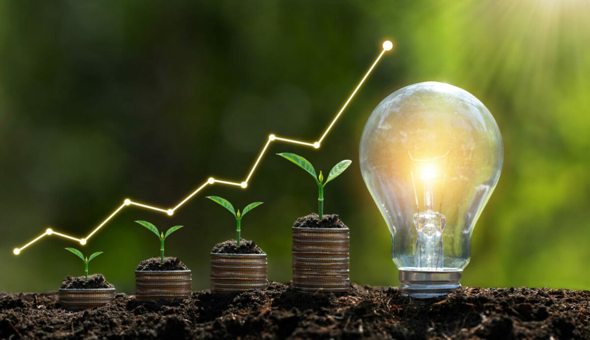 NZ responsible investing hits record $179 billion in 2021