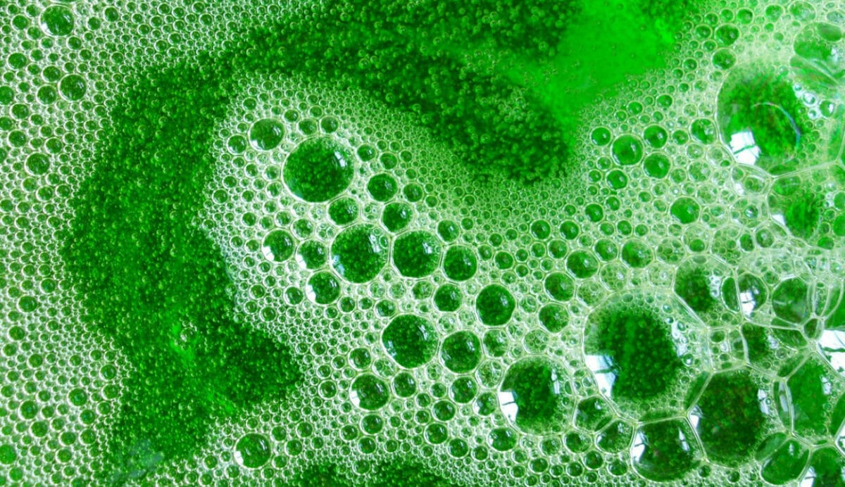 Super funds pressured by anti-green washing push