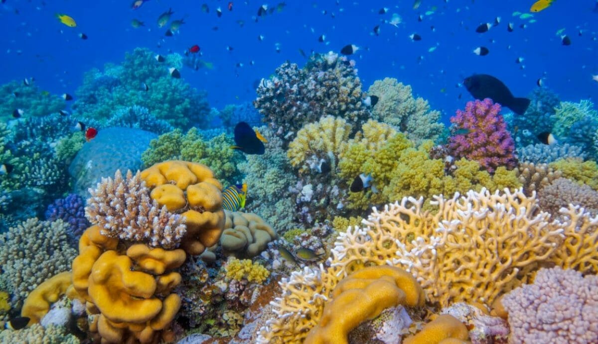 New reporting standards nature related investments gives confidence to investors