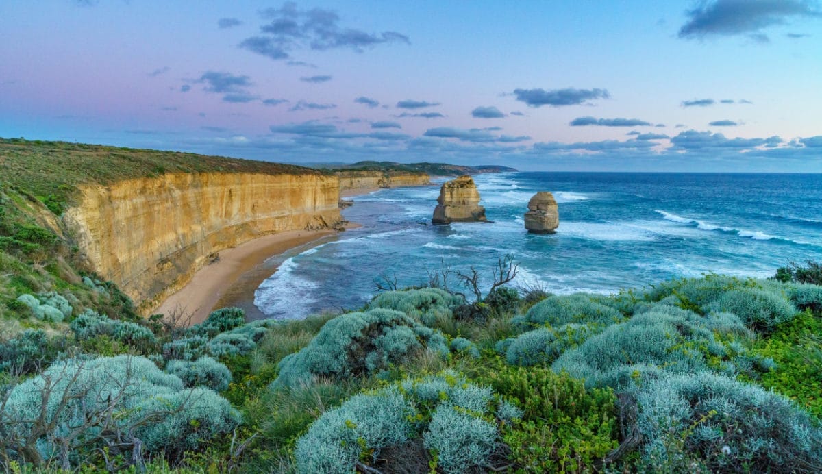 How nature-related disclosure will impact Aussie portfolios