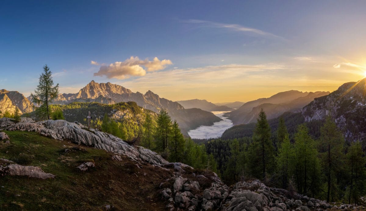 How to truly help decarbonise the economy (not just your portfolio)