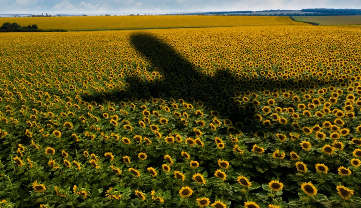 Super funds’ sustainable aviation fuel foray won’t be plane sailing