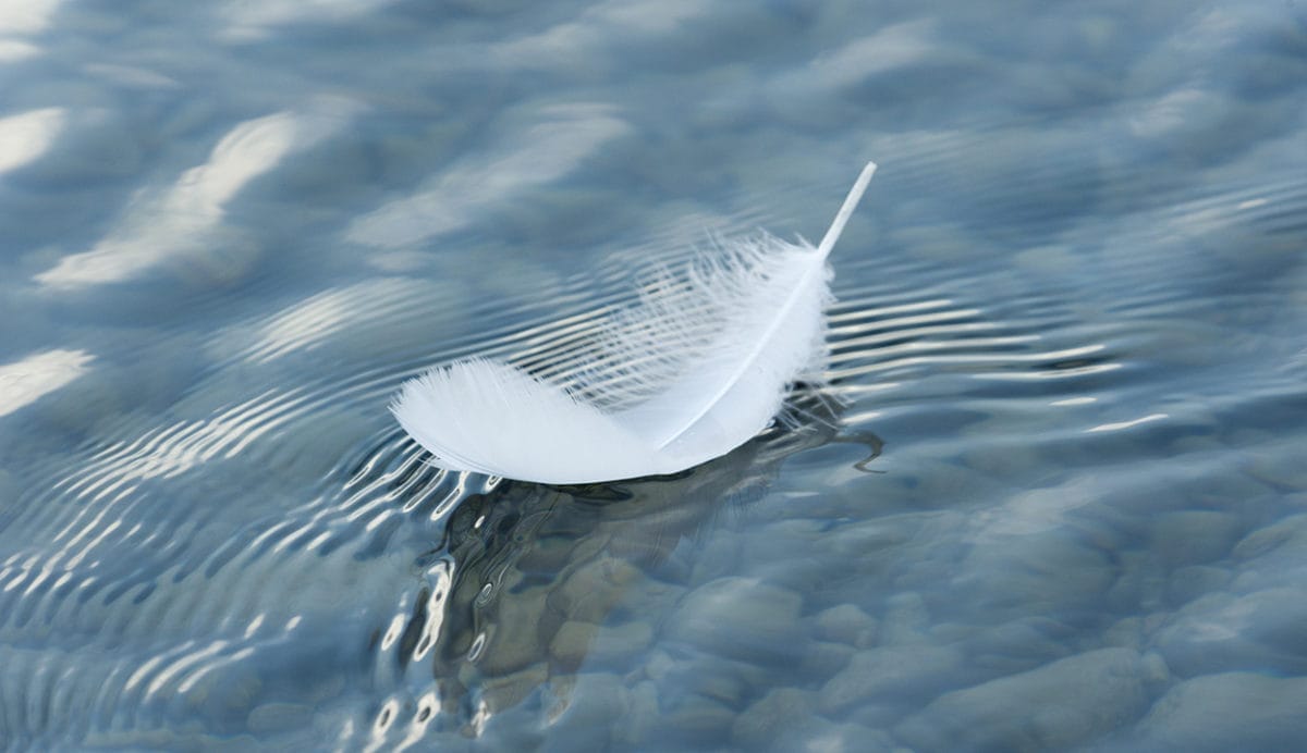 Risks facing investors in 2024 could test claims of soft landing