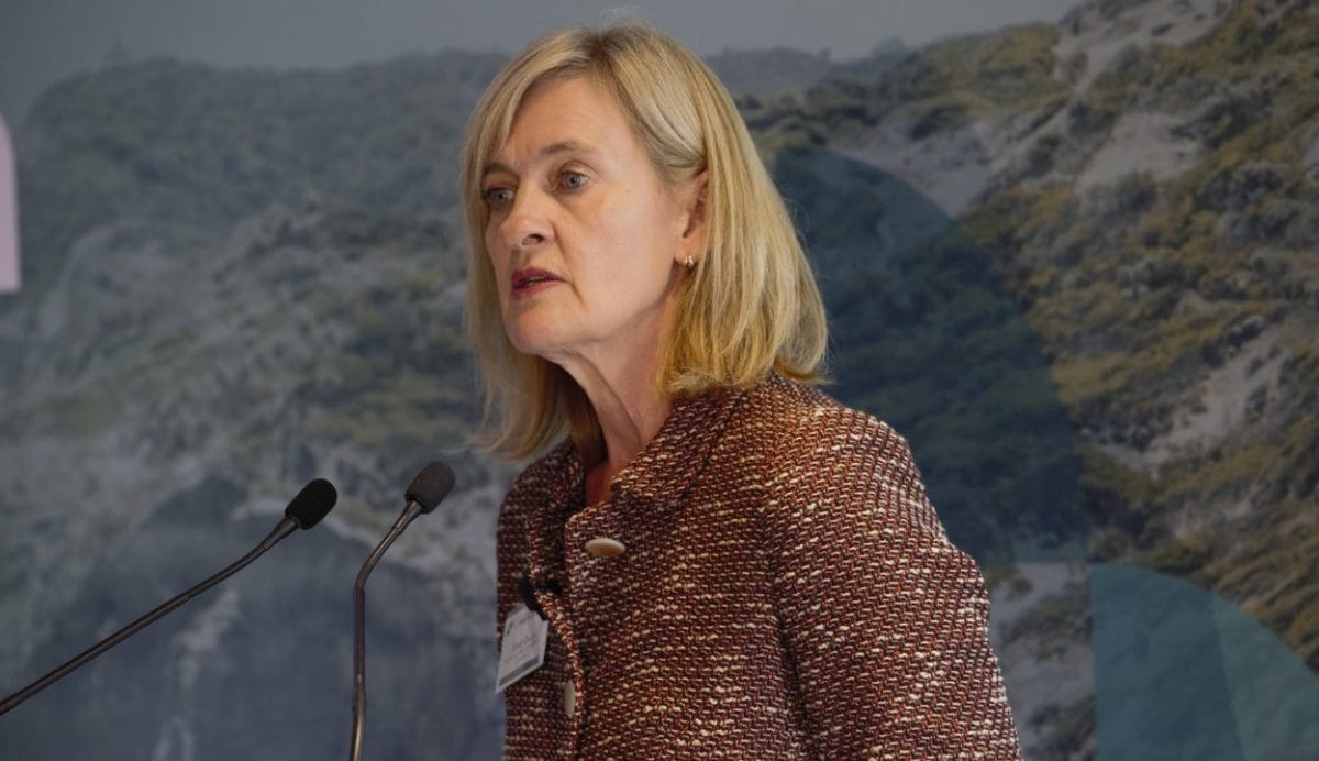 ASIC warns failed net zero pledges could skirt on misleading conduct