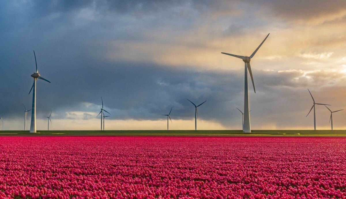 Super funds pile into Australia’s inaugural green bond