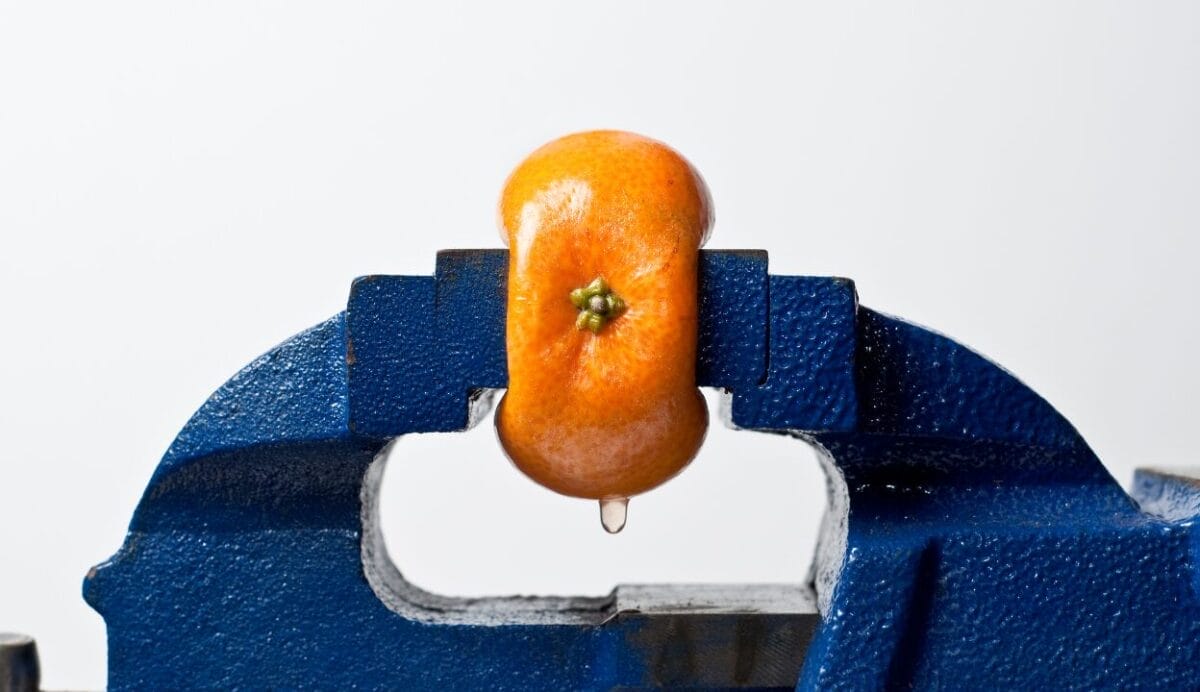 Active managers will be ‘back like bonds’ if they outlast the pain