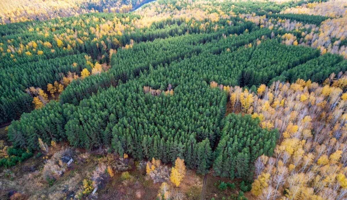 Complexity and nuance in turning natural capital risk into additional returns