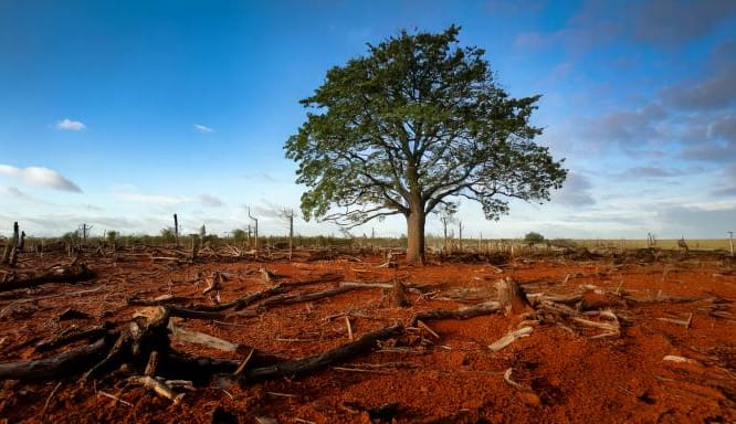 Thinking past tech, processes and systems to foster a culture of resilience